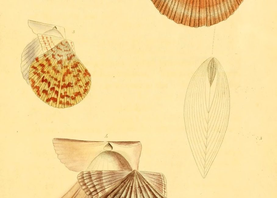 Read the full blog post