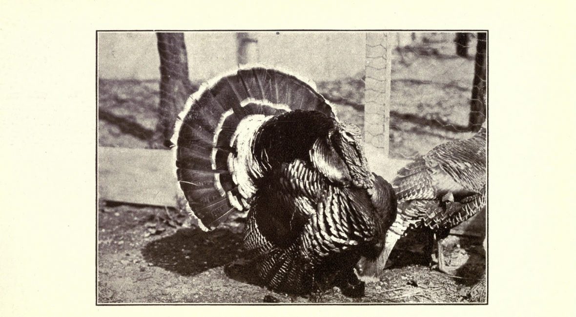 Read the full blog post