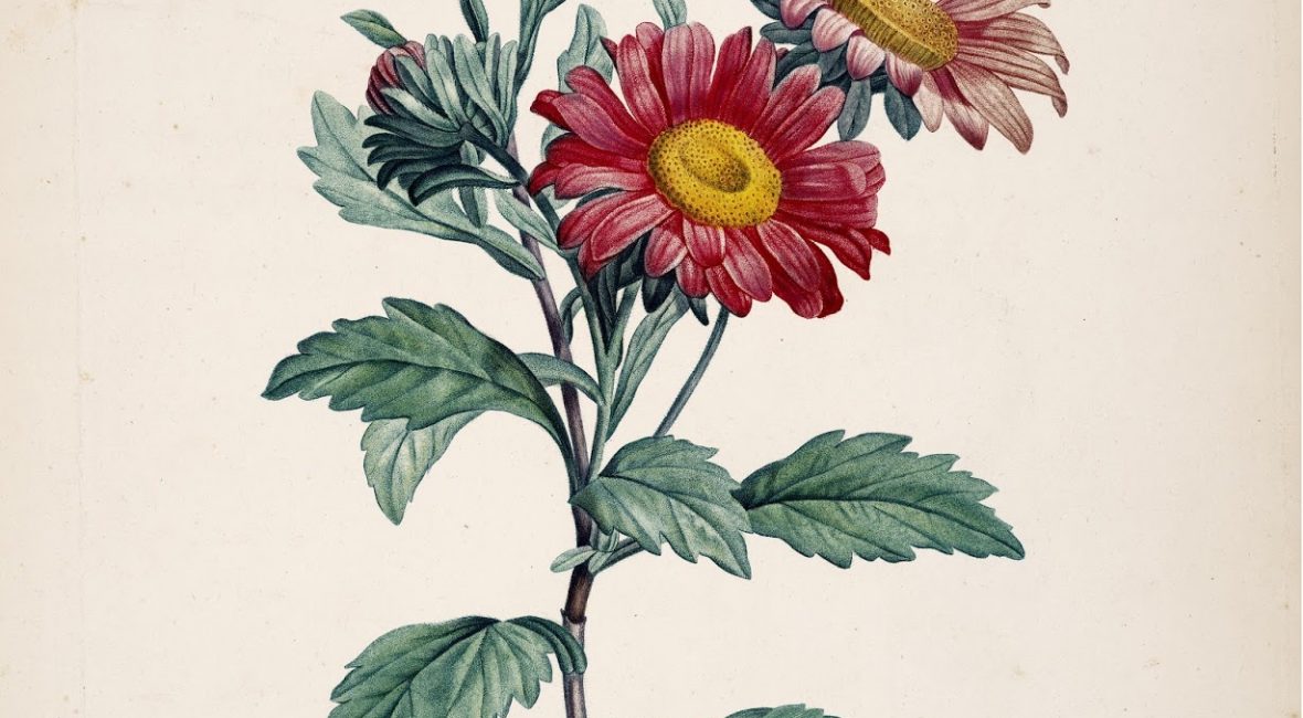 Read the full blog post