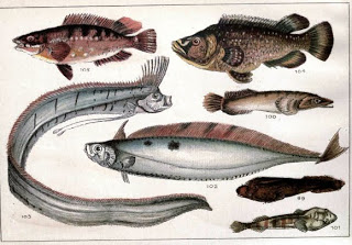 Read the full blog post