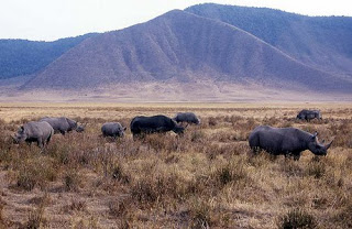 Read the full blog post