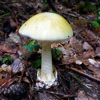 Read the full blog post