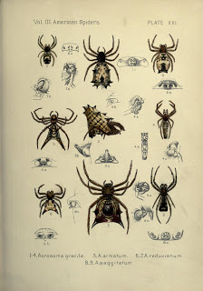 Read the full blog post