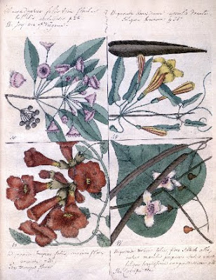 Read the full blog post