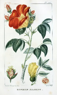 Read the full blog post