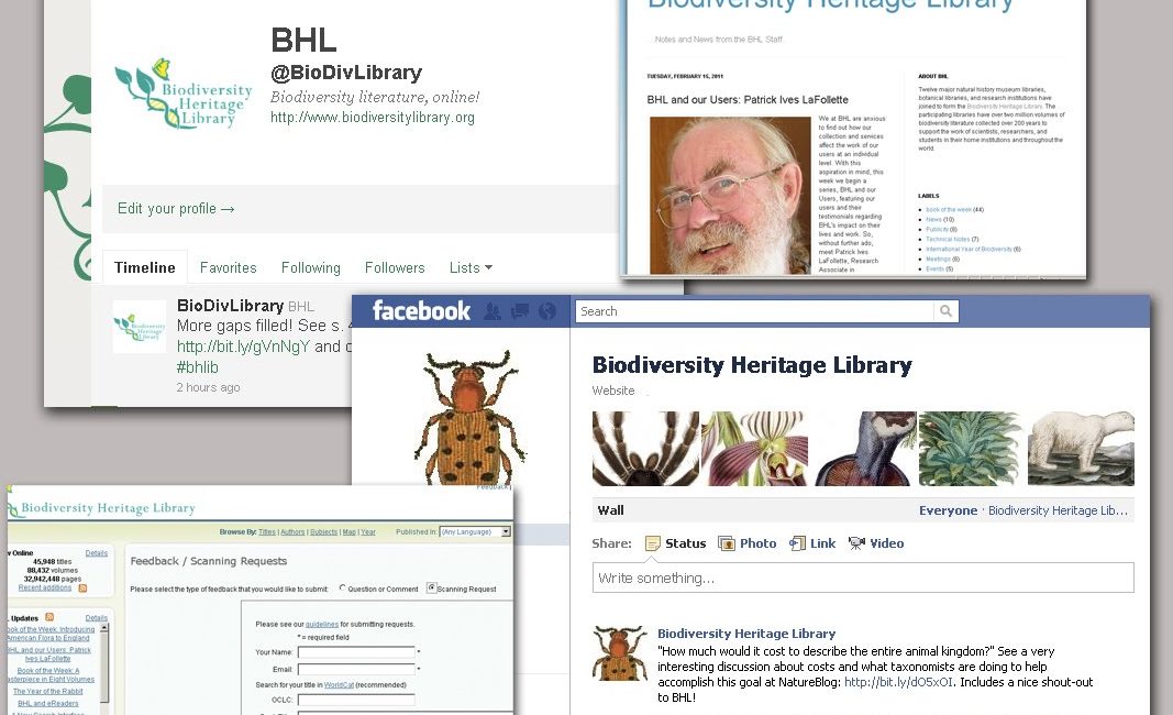 Read the full blog post