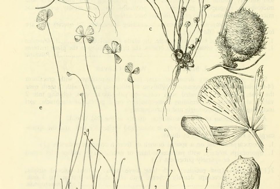 Read the full blog post