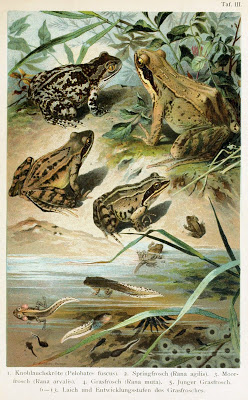 Read the full blog post