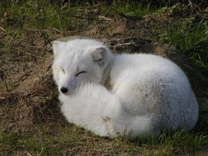 Read the full blog post