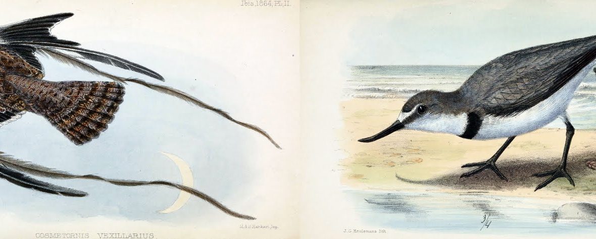 Read the full blog post