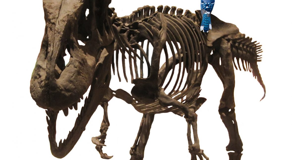 Read the full blog post