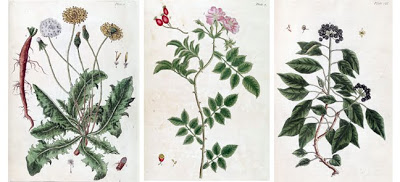 Read the full blog post