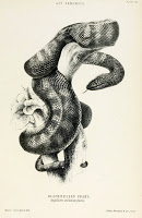 Read the full blog post