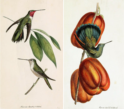 Read the full blog post