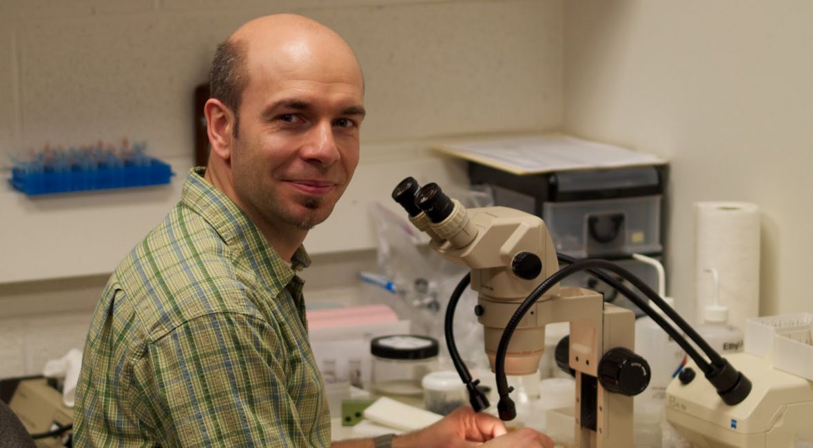 Read the full blog post