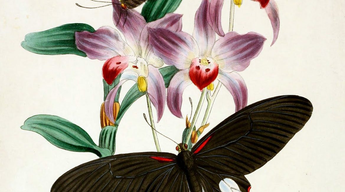 Read the full blog post