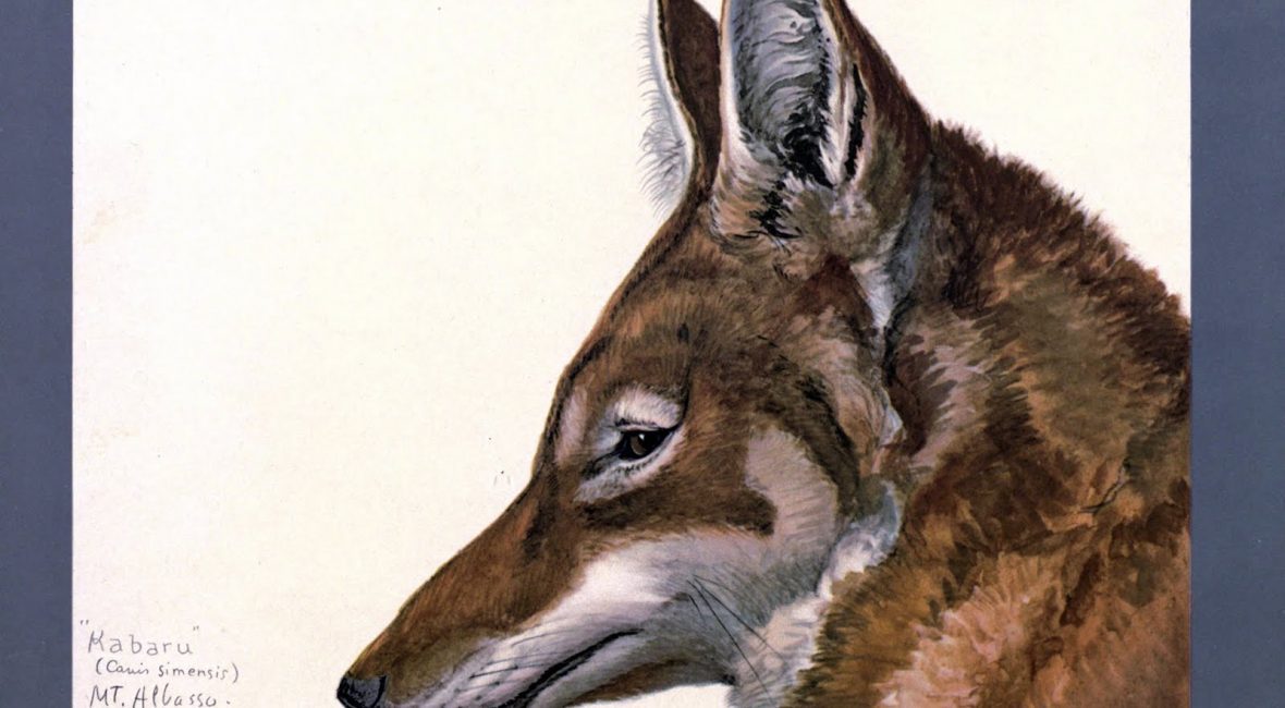 Read the full blog post