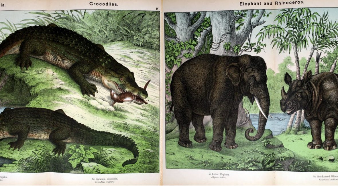 Read the full blog post