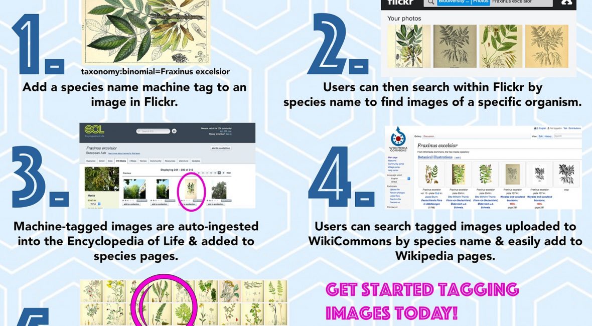 Read the full blog post