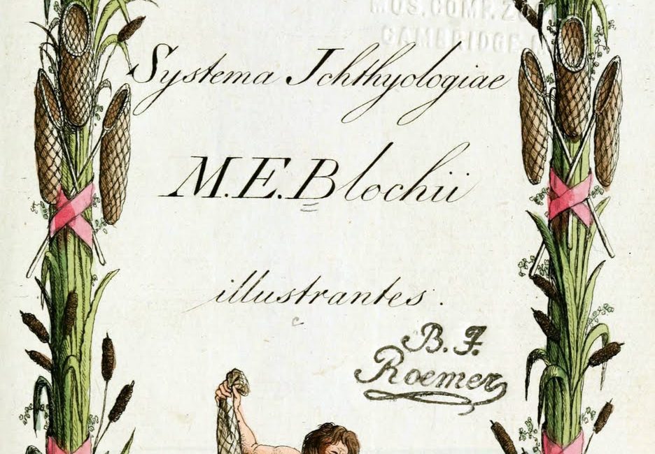 Read the full blog post