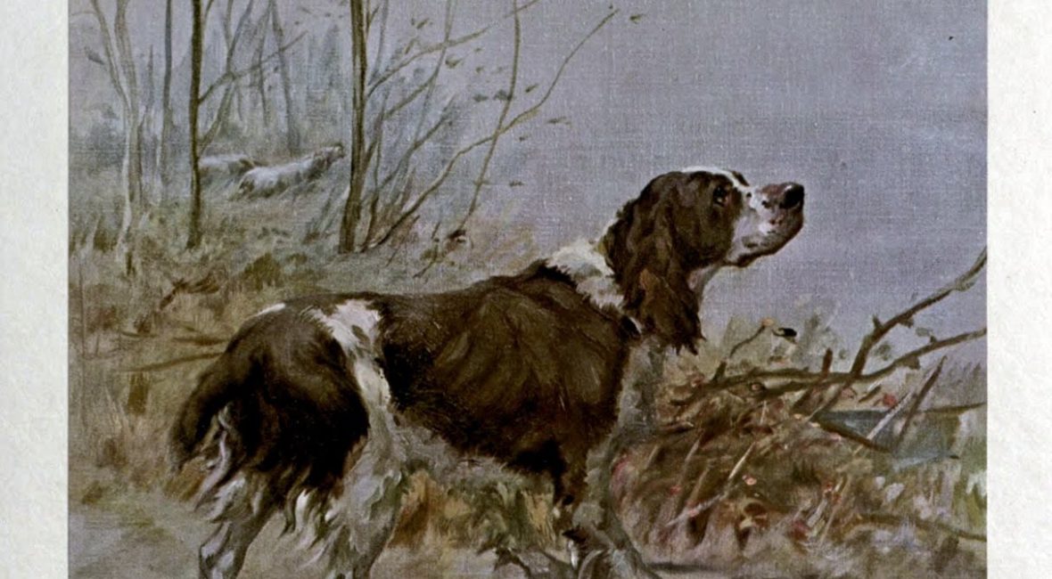 Read the full blog post