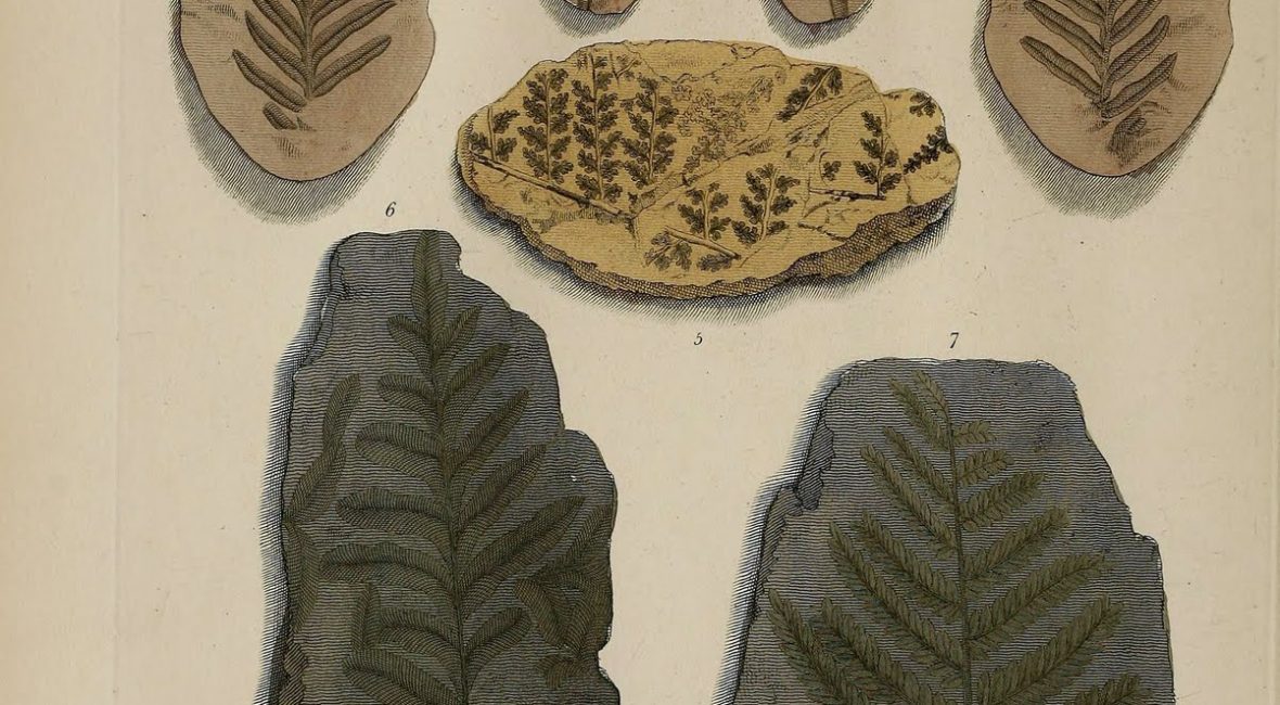 Read the full blog post