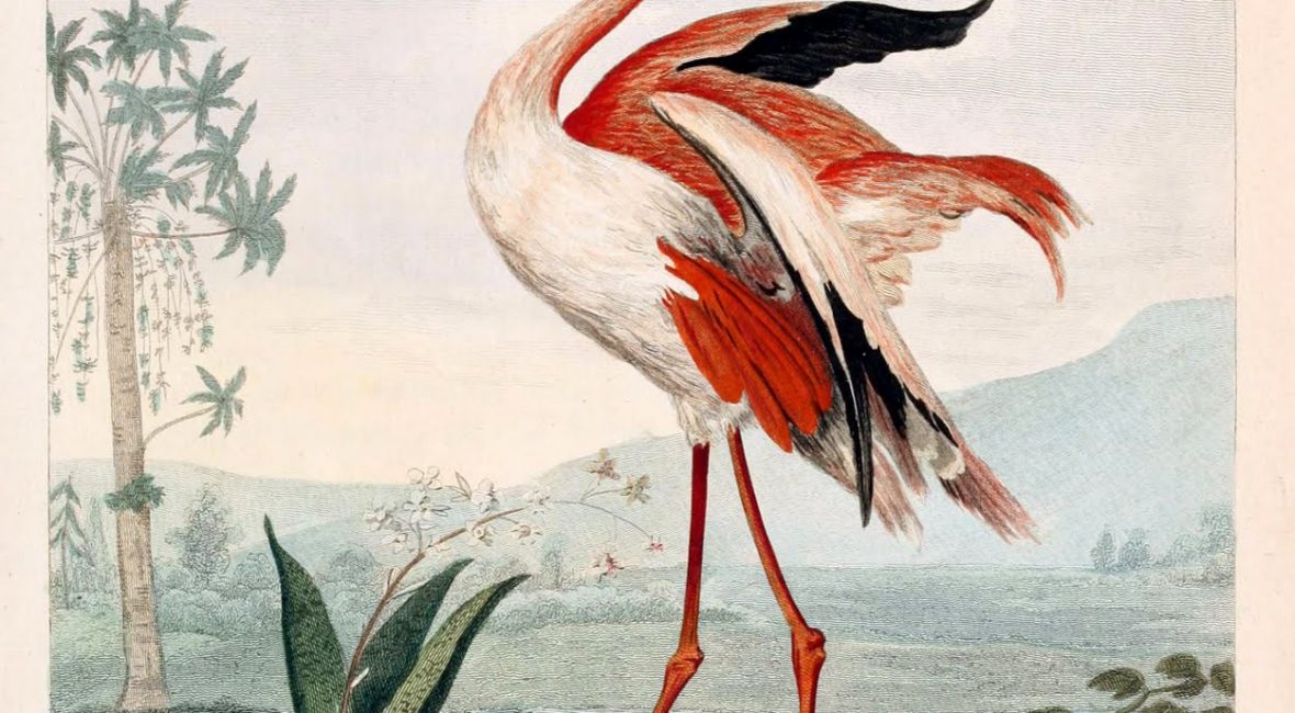 Read the full blog post