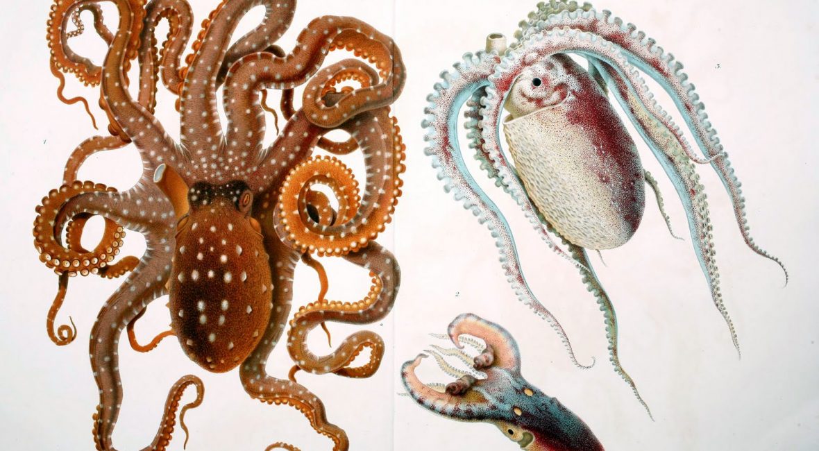 Read the full blog post