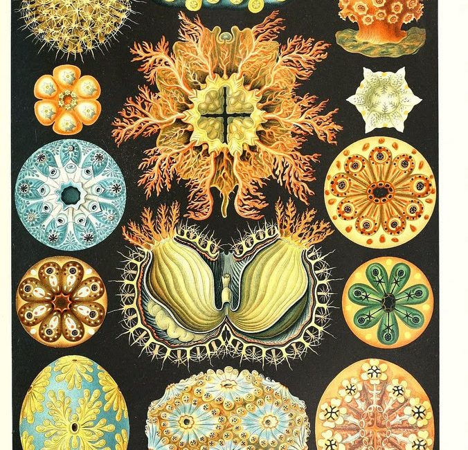 Read the full blog post