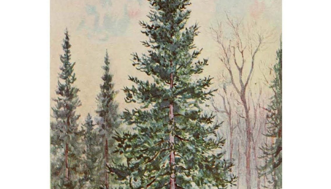 Read the full blog post