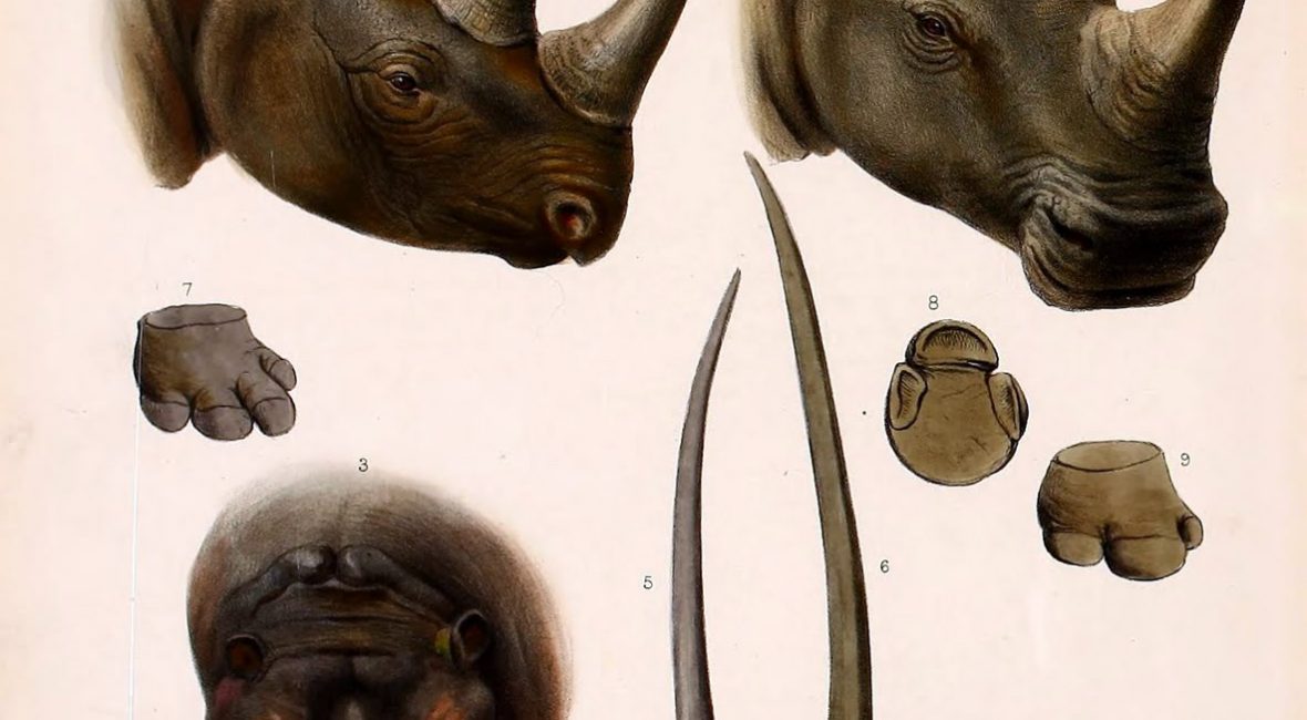 Read the full blog post