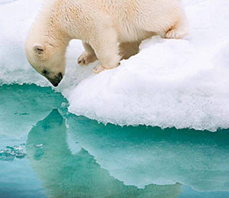 Read the full blog post