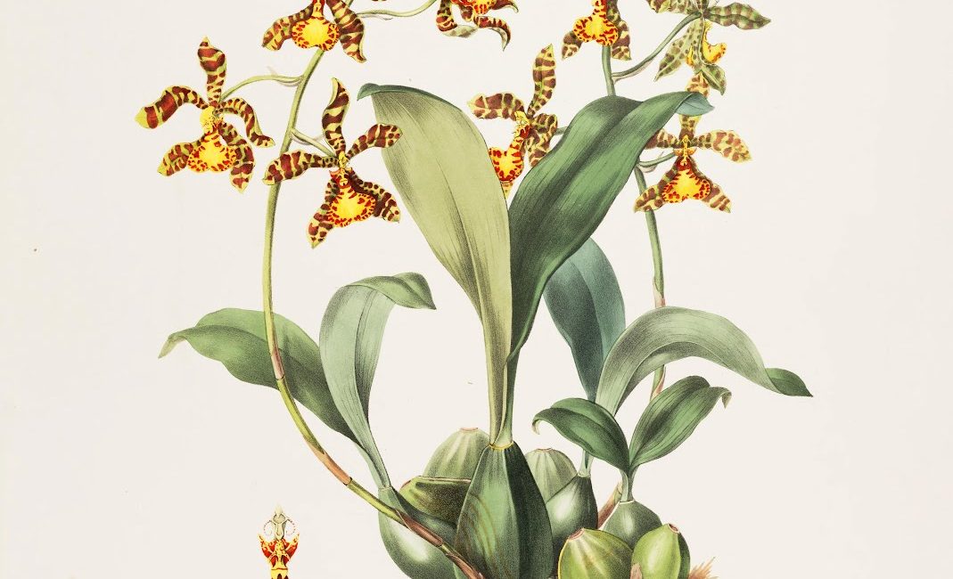 Read the full blog post