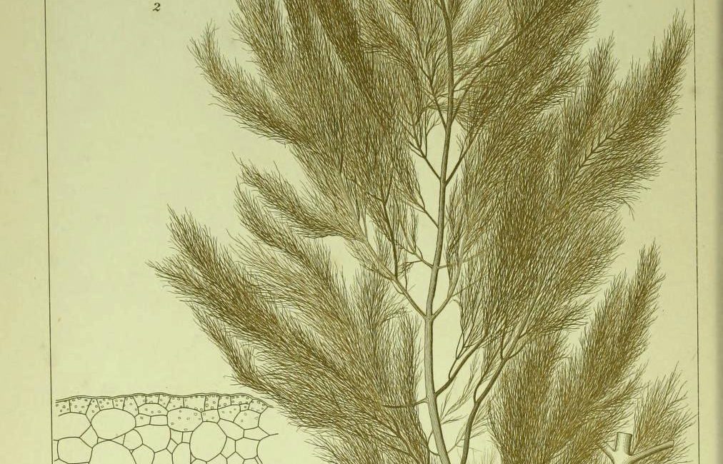 Read the full blog post