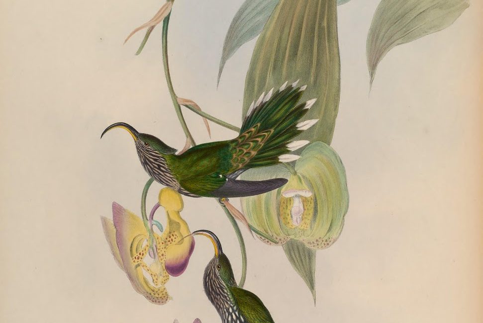 Read the full blog post