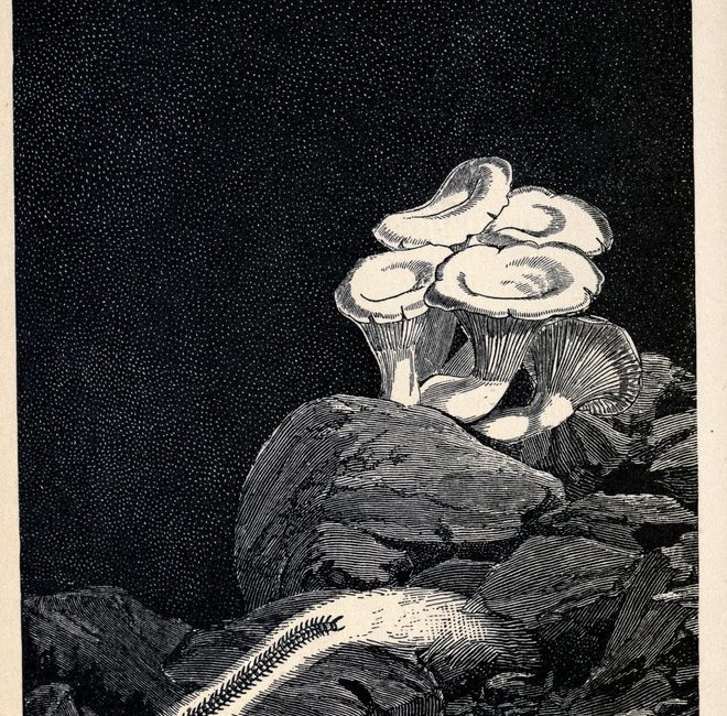 Read the full blog post