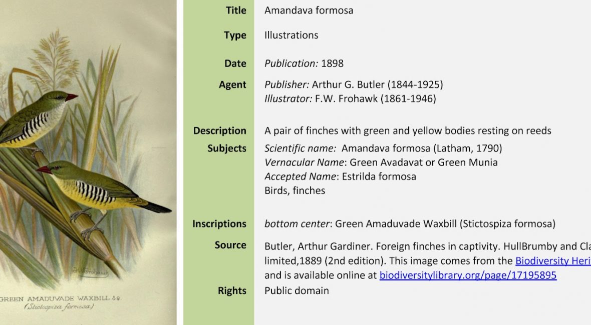 Read the full blog post