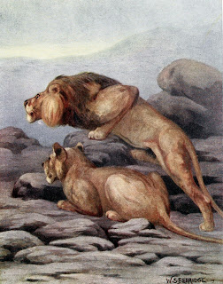 Read the full blog post