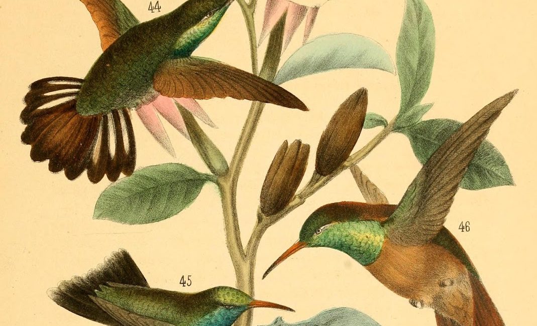 Read the full blog post