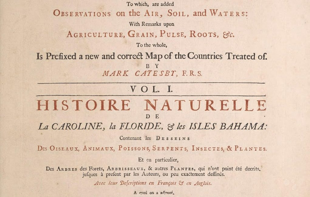 Read the full blog post