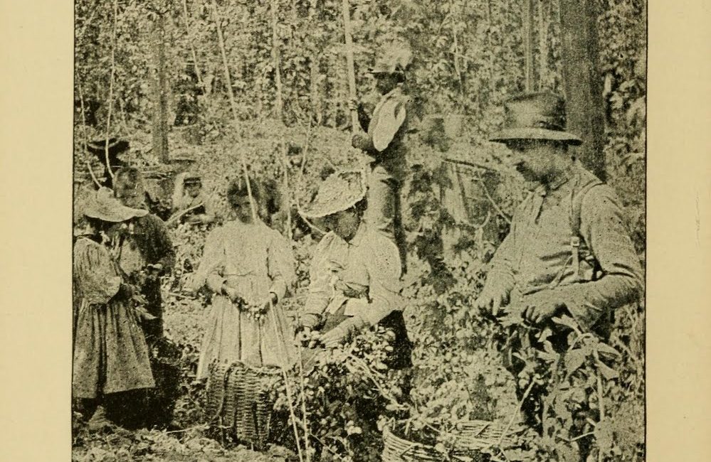 Read the full blog post