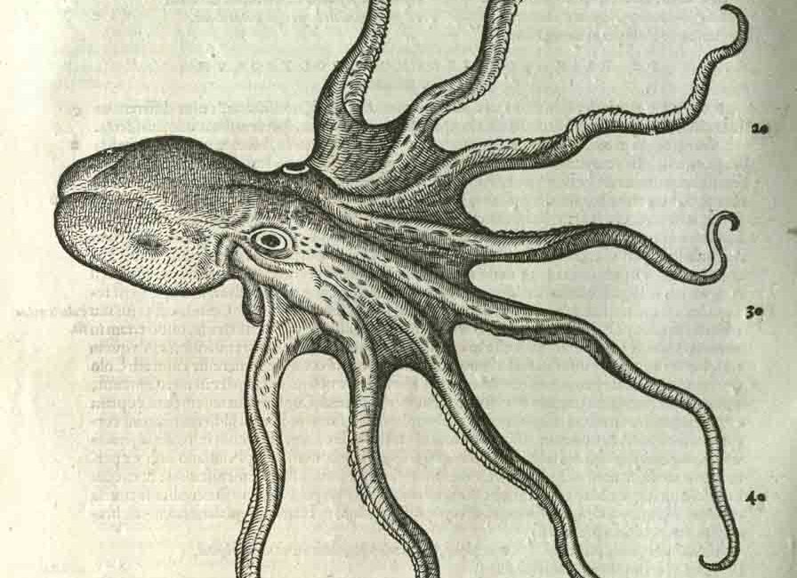 Read the full blog post