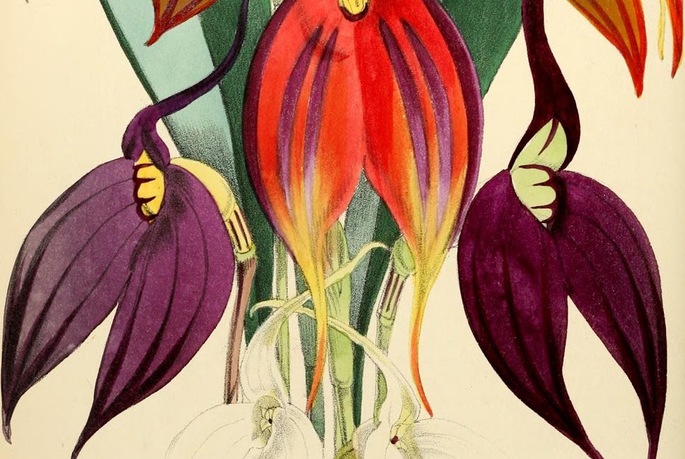 Read the full blog post