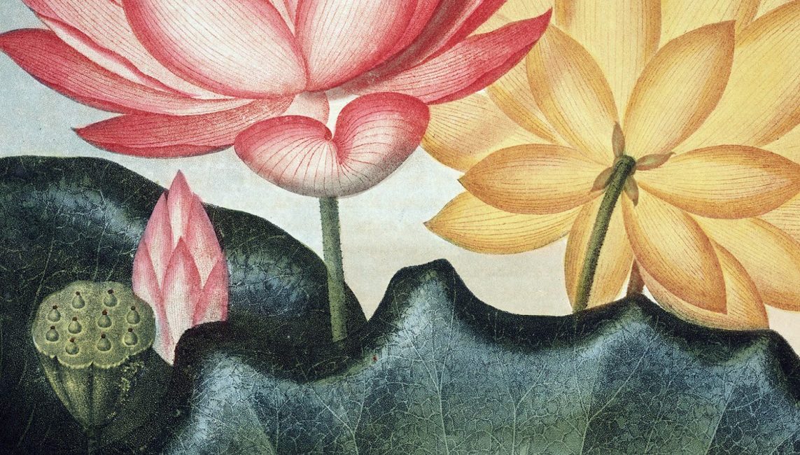 Read the full blog post