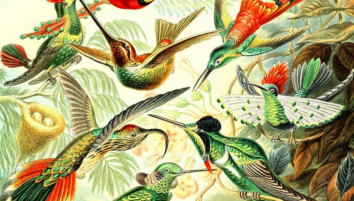 Read the full blog post