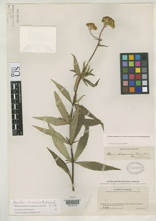 Read the full blog post