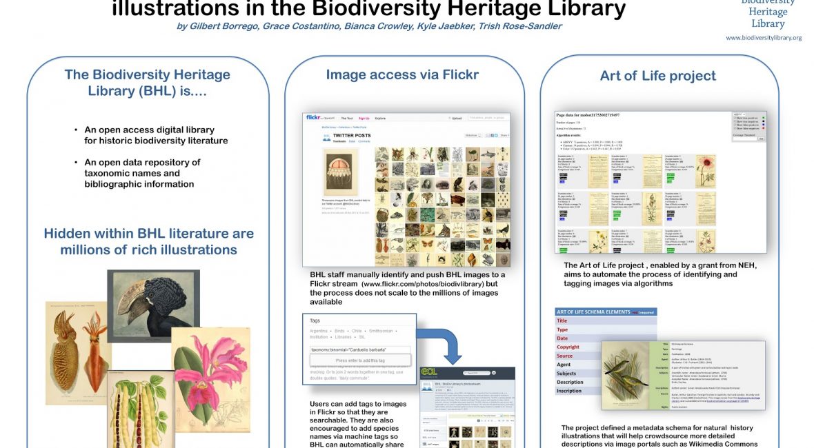 Read the full blog post