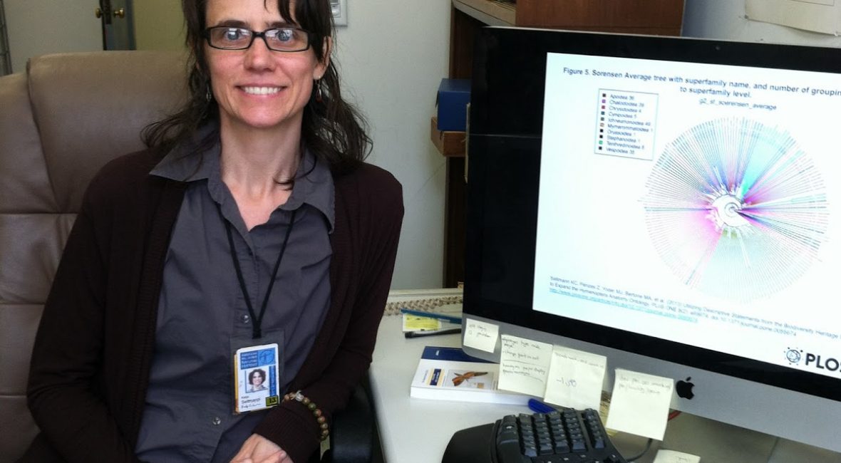 Read the full blog post