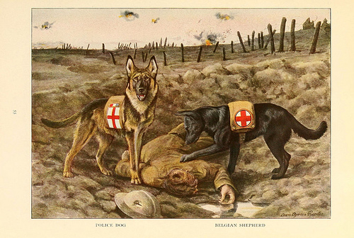 Read the full blog post