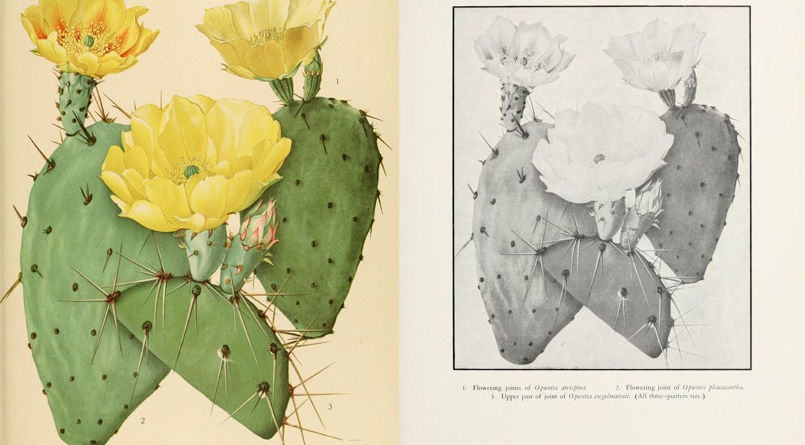 Read the full blog post